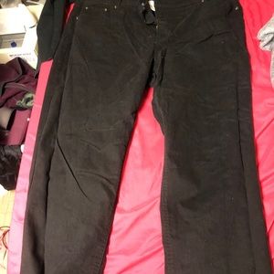 Terrace and sky pants